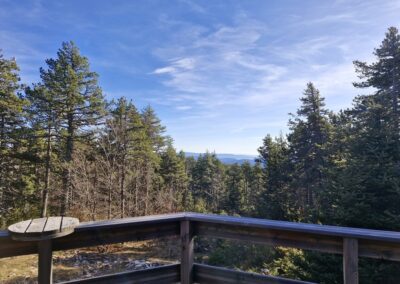 location chalet Mont Ventoux