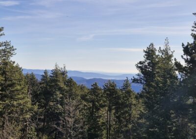 location chalet Mont Ventoux