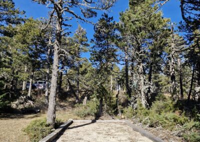 location chalet Mont Ventoux