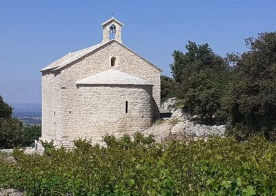 Balades à vélo guidées en Provence