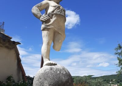 Balades à vélo guidées en Provence