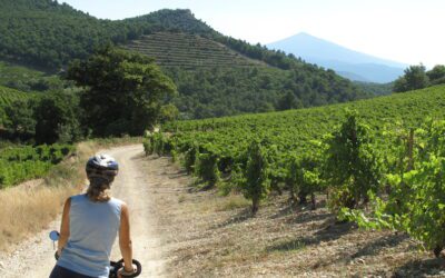 Explorez la Provence à vélo