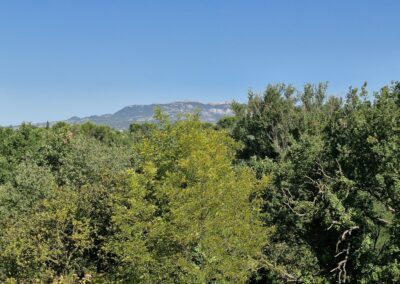 location de vacances - villa - Carpentras, Vaucluse