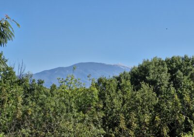 location de vacances - villa - Carpentras, Vaucluse